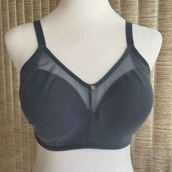 Breezies Mesh Illusions Contour Bra No Underwire 34DD Slate Blue - Picture 1 of 11